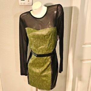 Capsulle Green & Black Sheer Dress